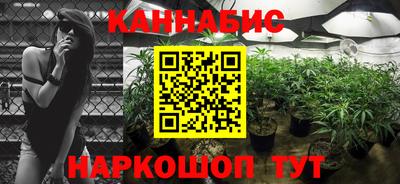 сатива Дмитров