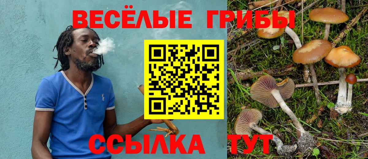 Псилоцибиновые грибы MAGIC MUSHROOMS Артёмовский
