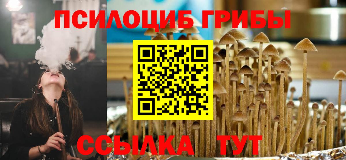 Псилоцибиновые грибы GOLDEN TEACHER  Псилоцибиновые грибы Magic Shrooms  Вход с VPN  Артёмовский 